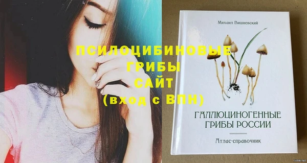 эйфоретик Каменногорск