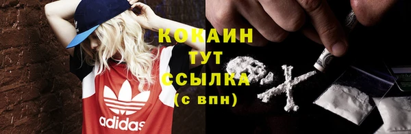 эйфоретик Каменногорск