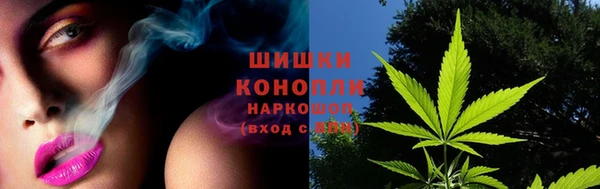 spice Каменка