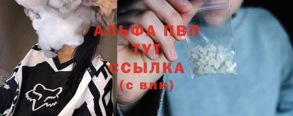 эйфоретик Каменногорск