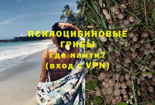 spice Каменка